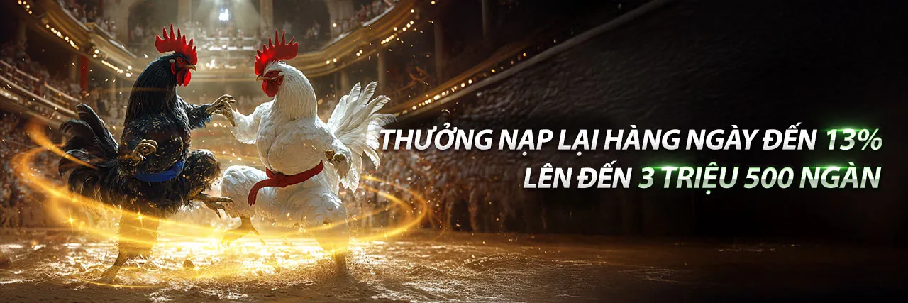 Giao diện cá cược trực tiếp trên số đỏ 79